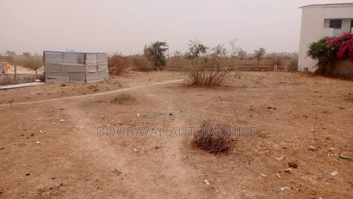 Ndiorokh Zone Mbeur