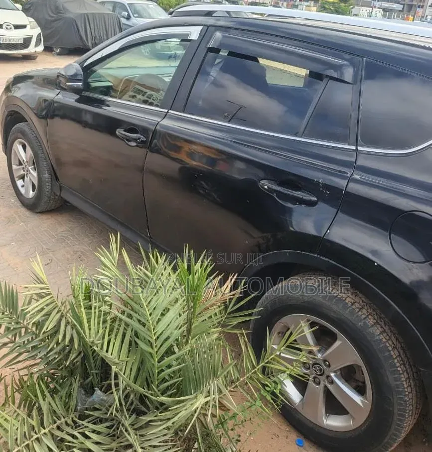 Toyota RAV4 2015 Noir Mat