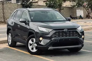 Toyota RAV4 2020 Gris
