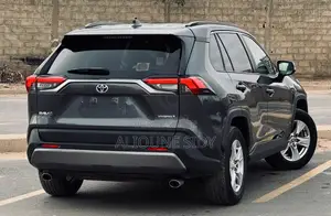 Toyota RAV4 2020 Gris