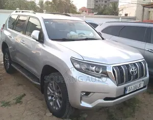 Toyota Land Cruiser 4.0 V6 EXR 2018 Gris