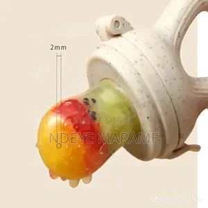 Tétine À Fruits en Silicone Pour Bébé