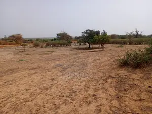 Verger Productif De 5688 M2 À 3 Km De Mont Rolland - Tivaouane