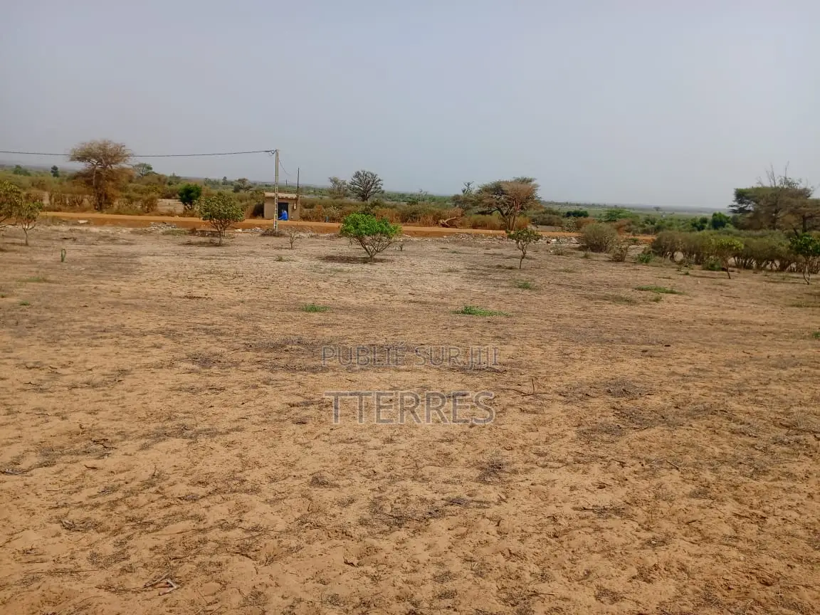 Verger Productif De 5688 M2 À 3 Km De Mont Rolland - Tivaouane