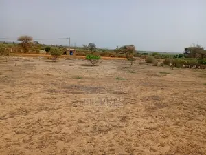 Verger Productif De 5688 M2 À 3 Km De Mont Rolland - Tivaouane