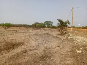Verger Productif De 5688 M2 À 3 Km De Mont Rolland - Tivaouane