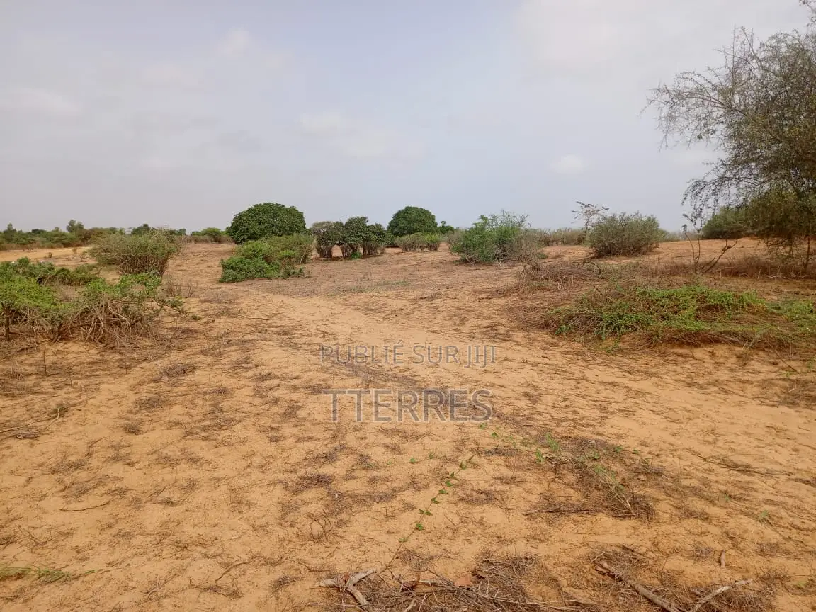 Terrain Agricole De 1,27 Hectare À 300 M De Kémaye-Mont Rolland