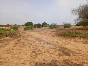 Terrain Agricole De 1,27 Hectare À 300 M De Kémaye-Mont Rolland