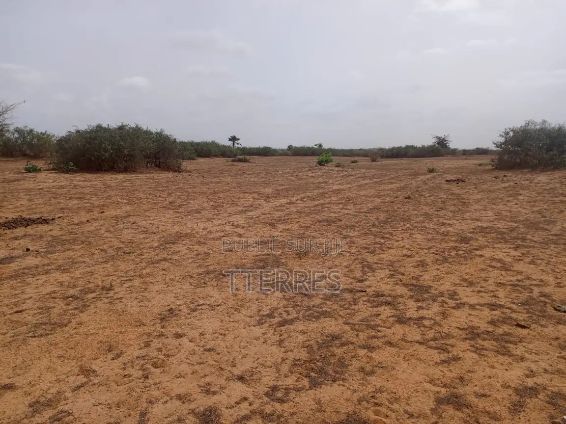 Terrain Agricole De 1,27 Hectare À 300 M De Kémaye-Mont Rolland