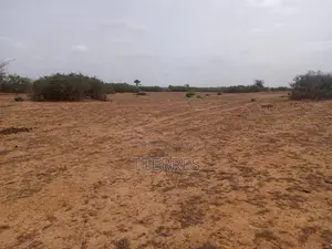 Terrain Agricole De 1,27 Hectare À 300 M De Kémaye-Mont Rolland