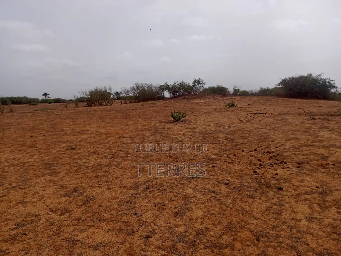 Terrain Agricole De 1,27 Hectare À 300 M De Kémaye-Mont Rolland