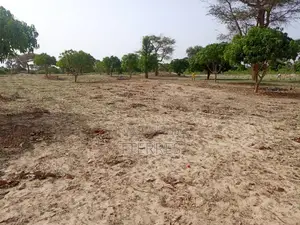 Verger Productif De 2,30 Hectares Vers Keur Sala Deurguen - Tivaouane
