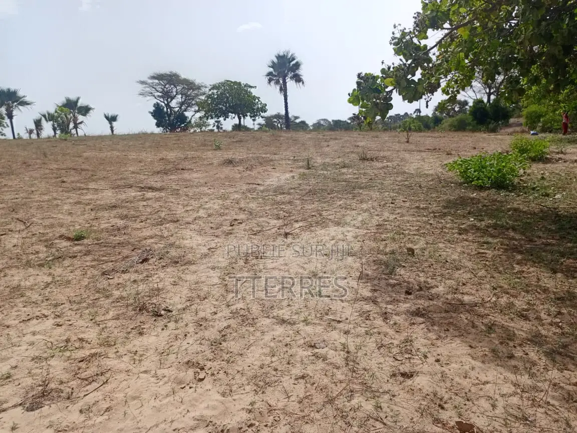 Verger De 1,84 Hectare À 900 M De Keur Sala Deurguen-Tivaouane