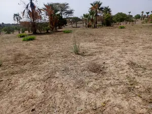 Verger De 1,84 Hectare À 900 M De Keur Sala Deurguen-Tivaouane