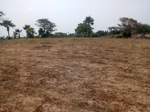 Verger De 1,84 Hectare À 900 M De Keur Sala Deurguen-Tivaouane