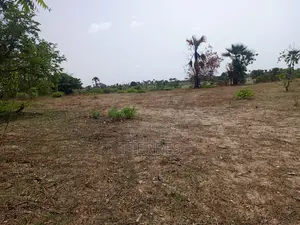 Verger De 1,84 Hectare À 900 M De Keur Sala Deurguen-Tivaouane