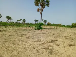 Verger Productif Et Fonctionnel De 2,32 Hectares Vers Tivaouane