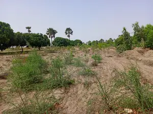Verger Productif Et Fonctionnel De 2,32 Hectares Vers Tivaouane