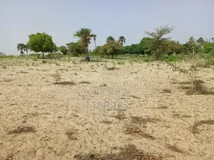 Verger Productif Et Fonctionnel De 2,32 Hectares Vers Tivaouane