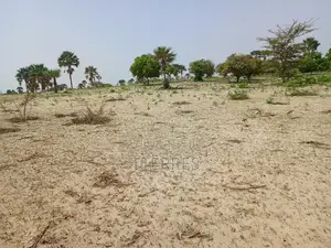 Verger Productif Et Fonctionnel De 2,32 Hectares Vers Tivaouane