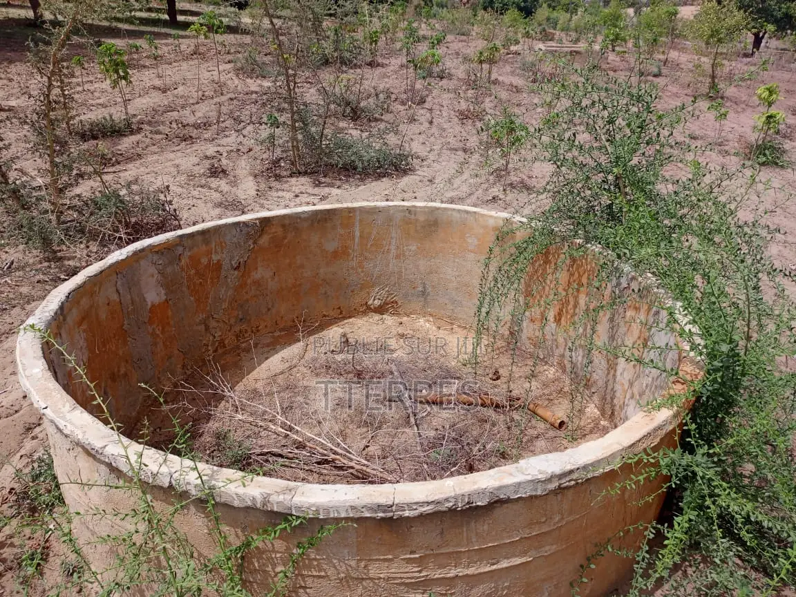 Verger Productif Et Fonctionnel De 2,32 Hectares Vers Tivaouane