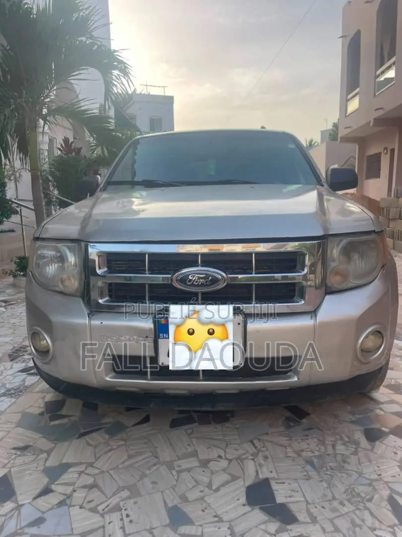 Ford Escape 2010 Gris