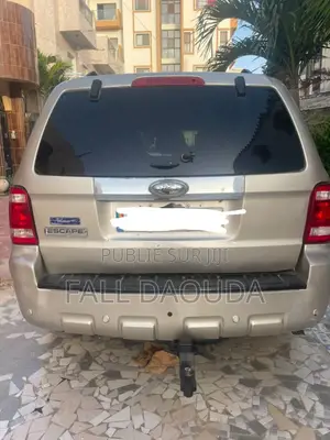 Ford Escape 2010 Gris