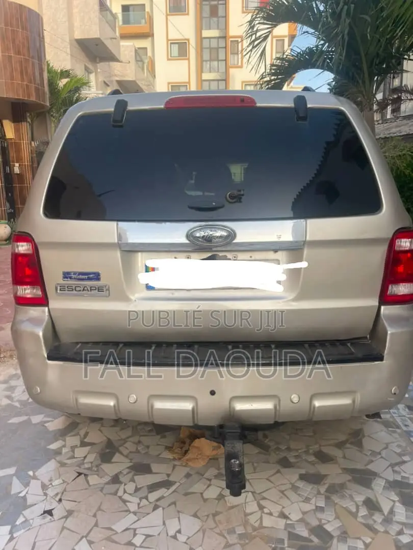 Ford Escape 2010 Gris