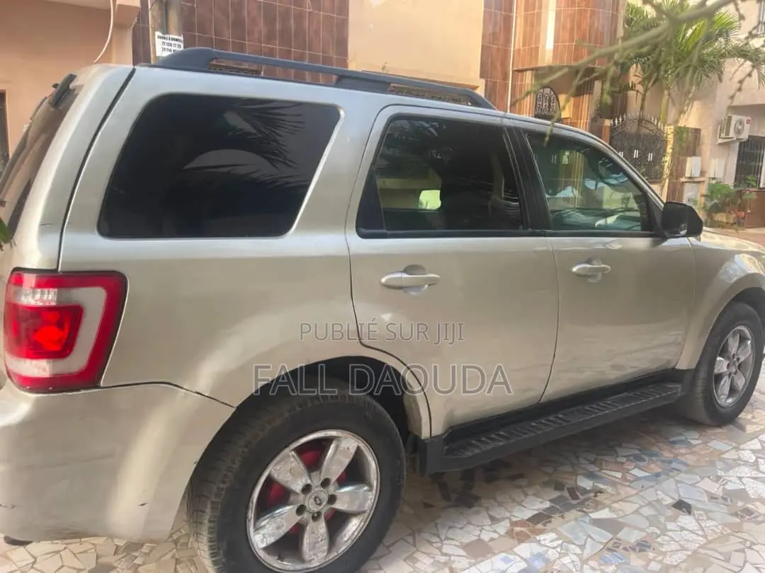 Ford Escape 2010 Gris