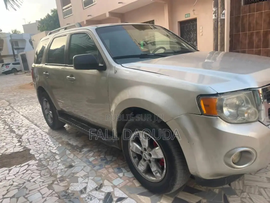 Ford Escape 2010 Gris
