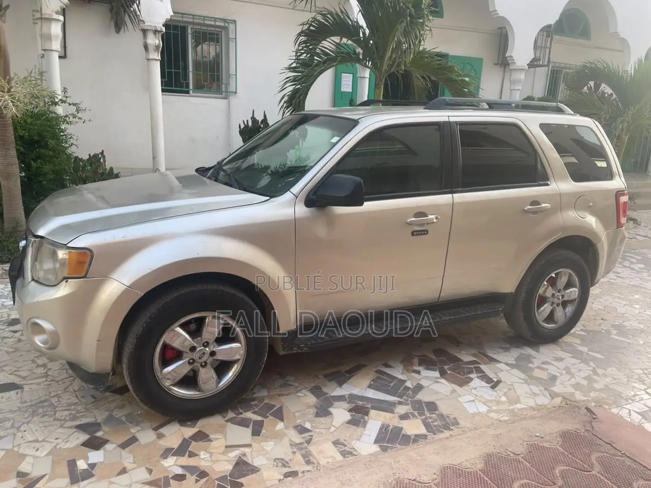 Ford Escape 2010 Gris