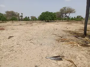 Verger Productif De 1,65 Ha À 700 M De Keur Sala Deurguen-Tivaouane