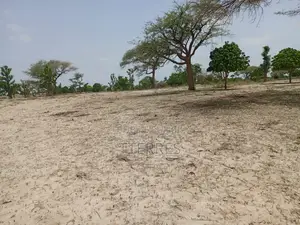 Verger Productif De 1,65 Ha À 700 M De Keur Sala Deurguen-Tivaouane