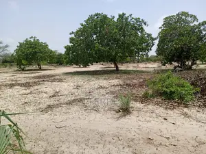 Verger Productif De 1,65 Ha À 700 M De Keur Sala Deurguen-Tivaouane