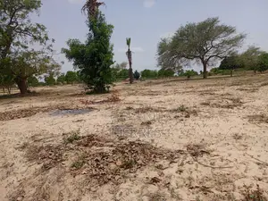 Verger Productif De 1,65 Ha À 700 M De Keur Sala Deurguen-Tivaouane