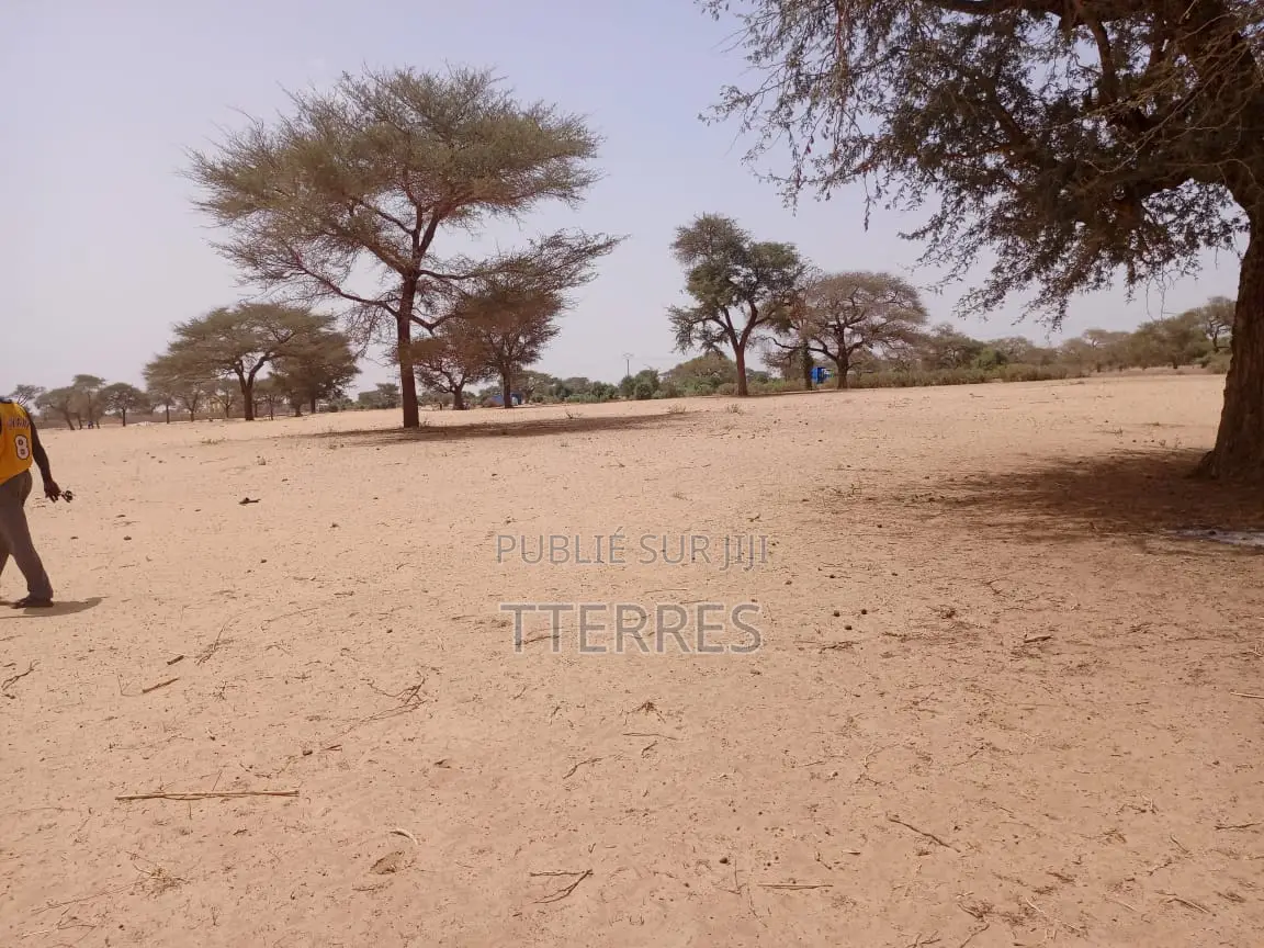 Terrain Agricole De 2 Hectares À 3 Km Touba Toul - Thiès
