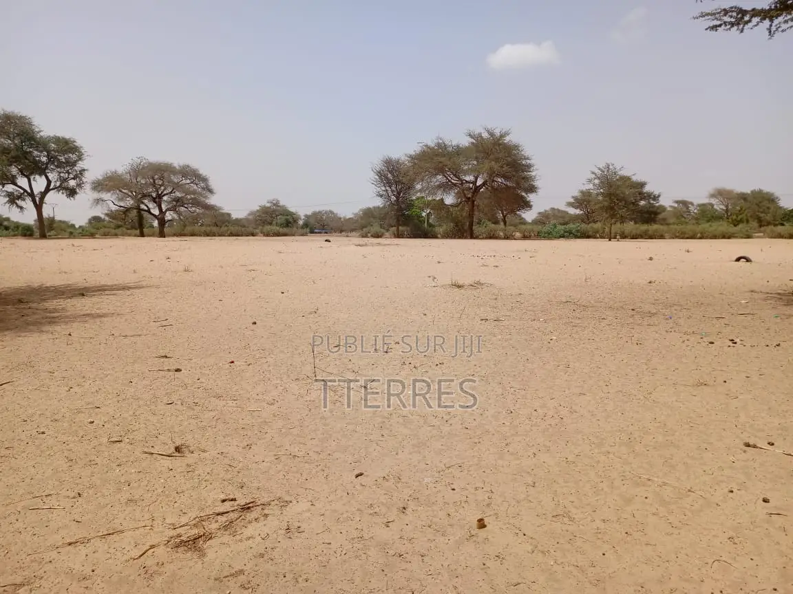 Terrain Agricole De 2 Hectares À 3 Km Touba Toul - Thiès
