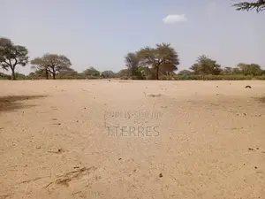 Terrain Agricole De 2 Hectares À 3 Km Touba Toul - Thiès