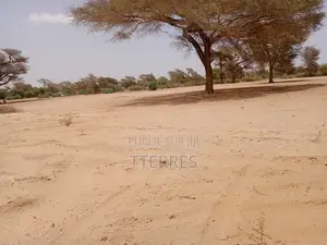 Terrain Agricole De 2 Hectares À 3 Km Touba Toul - Thiès