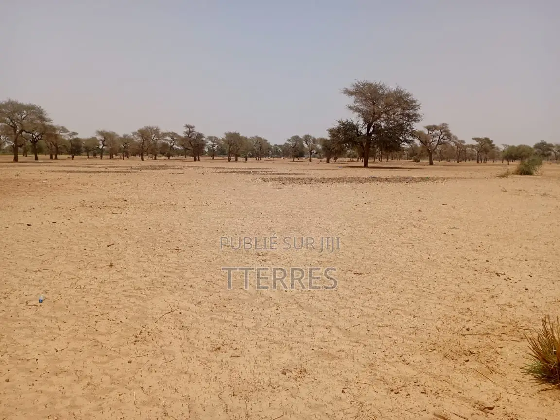 Terrain Agricole De 3,06 Hectares À 4 Km De Touba Toul - Thiès