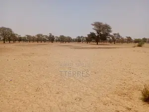 Terrain Agricole De 3,06 Hectares À 4 Km De Touba Toul - Thiès