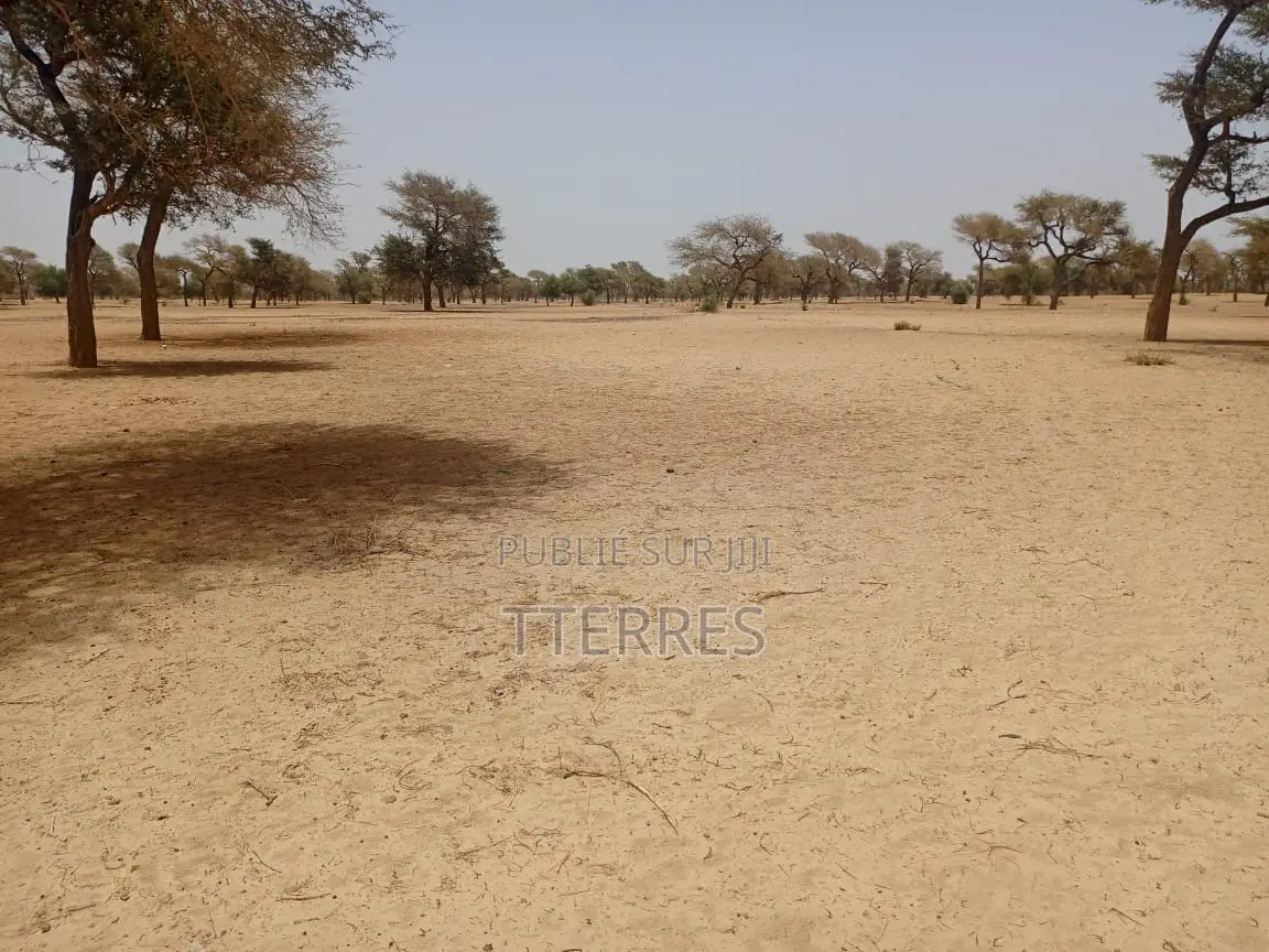 Terrain Agricole De 3,06 Hectares À 4 Km De Touba Toul - Thiès