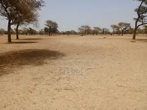 Terrain Agricole De 3,06 Hectares À 4 Km De Touba Toul - Thiès