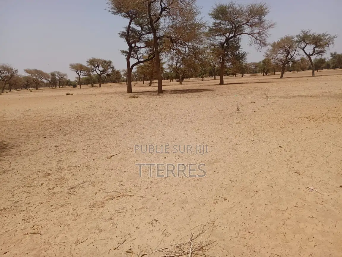 Terrain Agricole De 3,06 Hectares À 4 Km De Touba Toul - Thiès