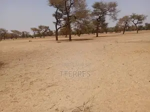 Terrain Agricole De 3,06 Hectares À 4 Km De Touba Toul - Thiès