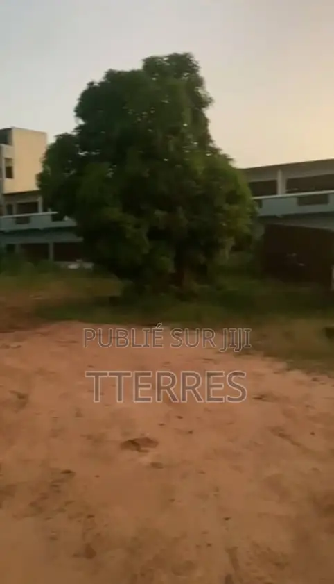 Ferme De 2,51 Hectares Vers Pout - Thiès