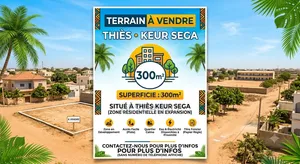 Terrain À Vendre À Thies Keur Sega