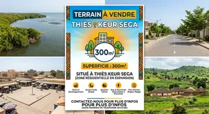 Terrain À Vendre À Thies Keur Sega