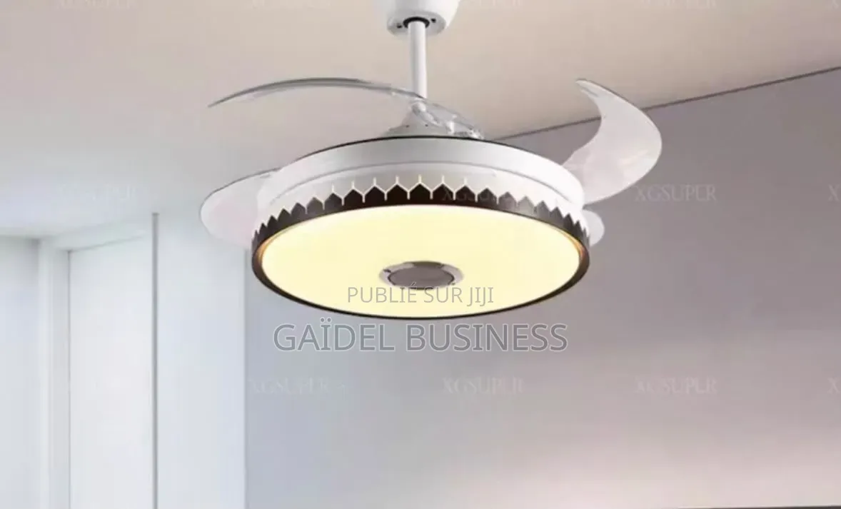 Ventilateur De Plafond Pales Rétractables