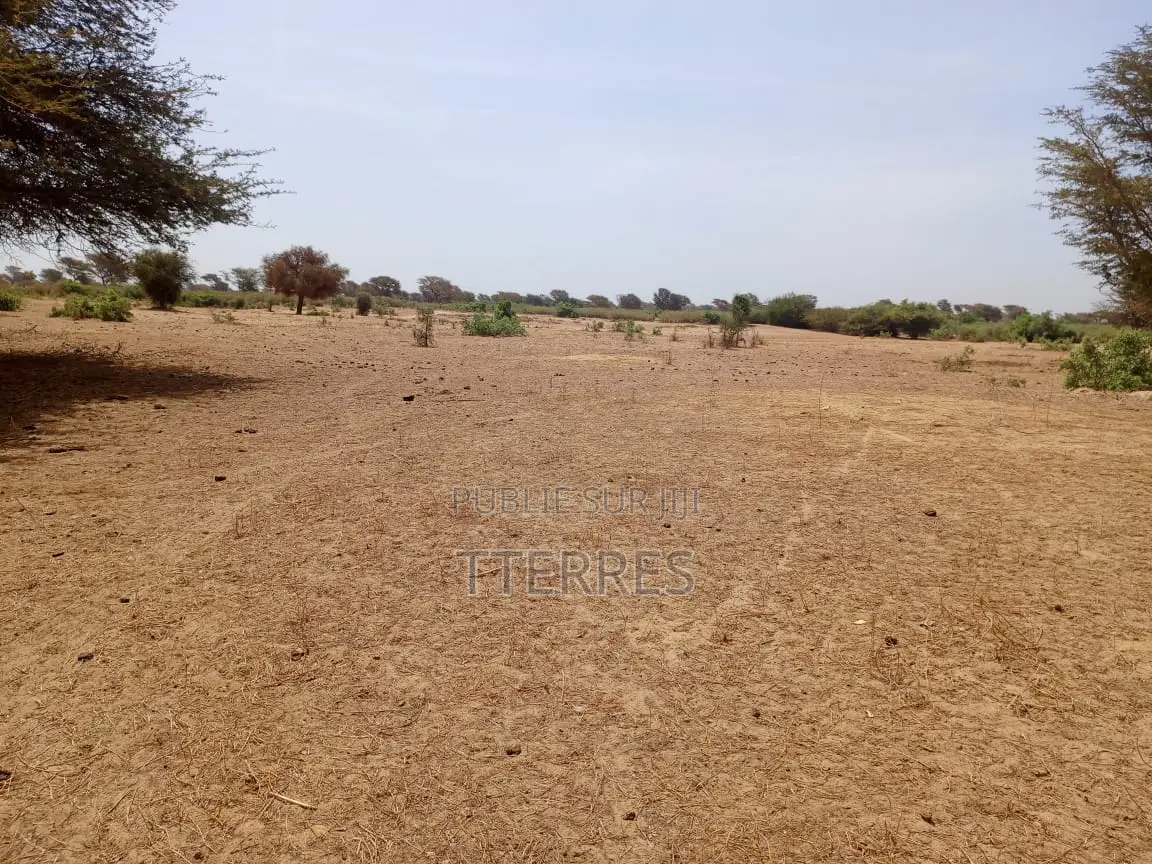 Terrain Agricole De 4,50 Hectares À 3km De Tassette - Thiès